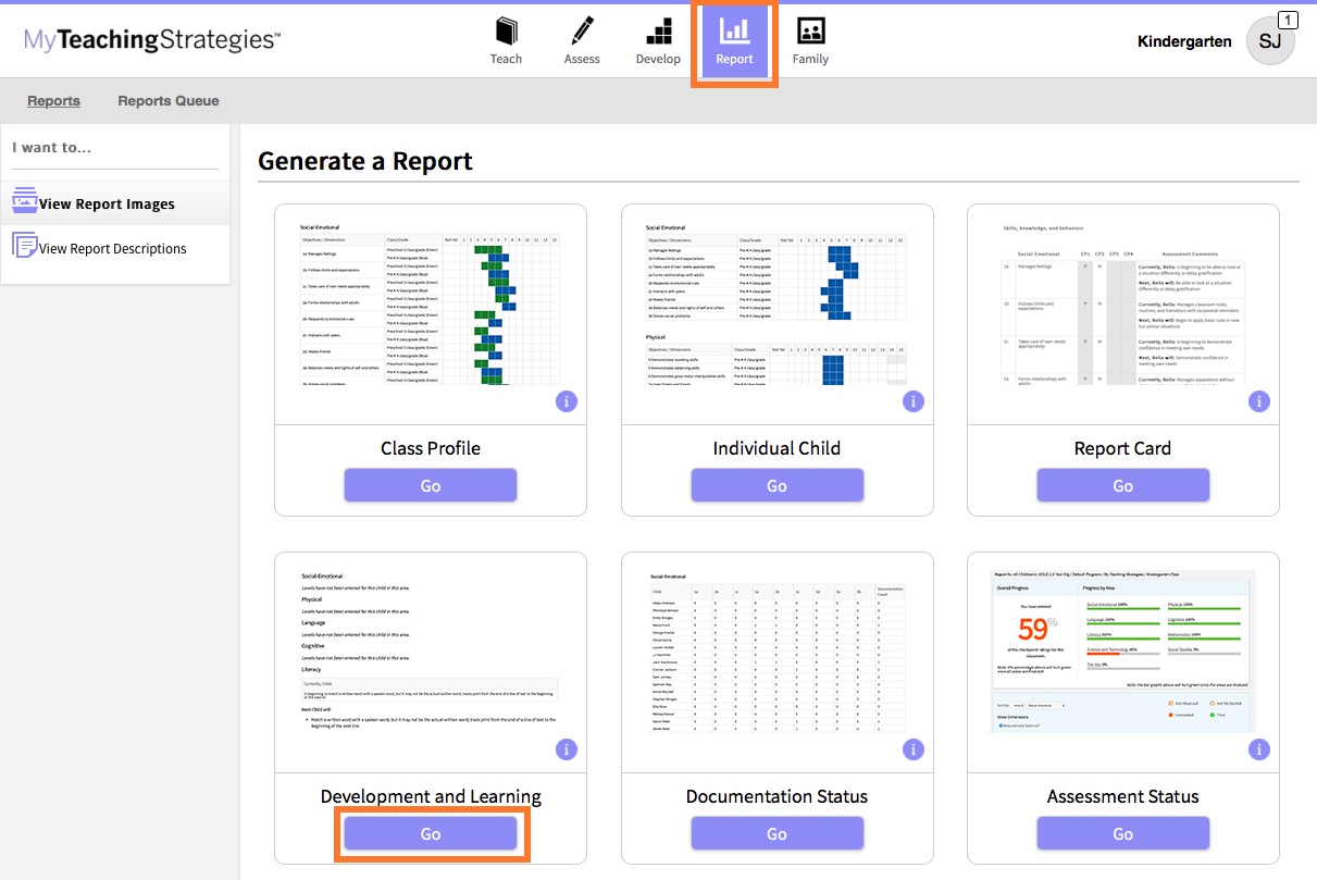 Development and Learning Report - Teachers